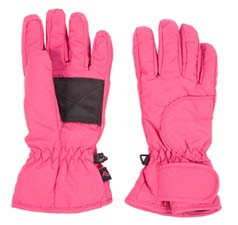 Ski Gloves